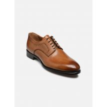 Marvin&Co Luxe - Schnürschuhe DARVINE - braun - Größe 45