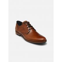 Marvin&Co - Zapatos con cordones WABELLE - Marrón - Talla 40