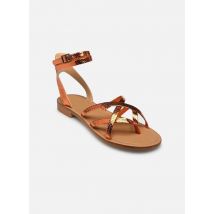 Semerdjian - Sandalias Puma Serpente - Naranja - Talla 37