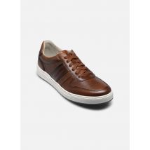 Pius Gabor Mix Marron - Baskets - Disponible en 44