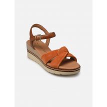 Marco Tozzi - Sandalen 28722-44 N - orange - Größe 36