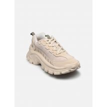 Caterpillar - INTRUDER LITE - beige - Sneaker - Größe 44