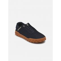 Caterpillar - HEX + CANVAS - Azul - Deportivas - Talla 41