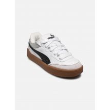Puma Park Lifestyle Sk8 Wit - Sneakers - Beschikbaar in 39