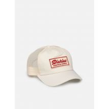Casquettes LEWISTOWN TRUCKER Blanc - Dickies - Disponible en T.U
