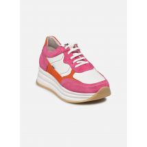 Dorking DRAZ D9436 Rose - Baskets - Disponible en 40