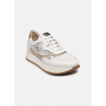 Dorking - SPLIT D9473 Bianco - Sneakers - Taglia 41