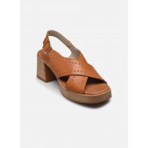 Sandales et nu-pieds DIAMOND D9333 Marron - Dorking - Disponible en 41