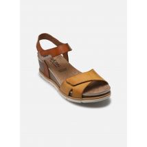 Dorking - GOLD D9512 Marrone - Sandali e scarpe aperte - Taglia 36
