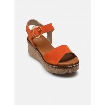 Dorking - Sandalen NIDO D9450 - orange - Größe 38