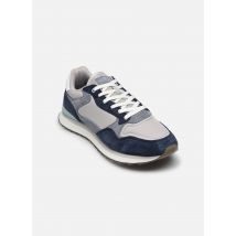Hoff - ALBEROBELLO Blu - Sneakers - Taglia 45