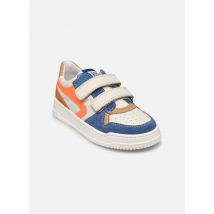 Babybotte - Kangourou V. - Multicolor - Deportivas - Talla 24