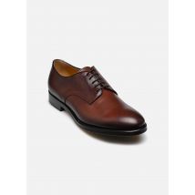 Doucal's - NATE Marrone - Scarpe con lacci - Taglia 43