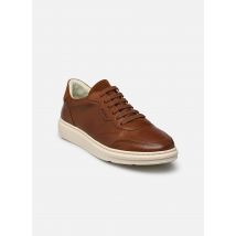 Kost - SNOOZE VGT - Bruin - Sneakers - Maat 44