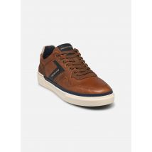 Redskins - LERMI - braun - Sneaker - Größe 42