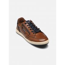 Redskins - MISSOURI - braun - Sneaker - Größe 45