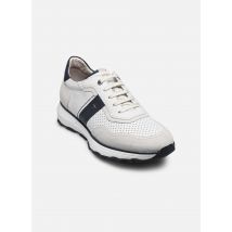 Fluchos WALTER F2083 Grijs - Sneakers - Beschikbaar in 42