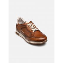 Fluchos - SAMIR F2187 - braun - Sneaker - Größe 45