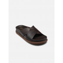 Clarks - Sandalias Torford Cross - Marrón
