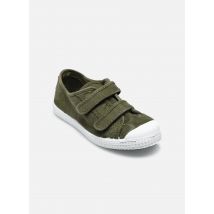 Cienta Bili Vert - Baskets - Disponible en 24