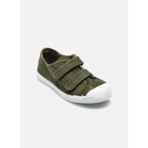 Cienta - Bili - Verde - Deportivas - Talla 21