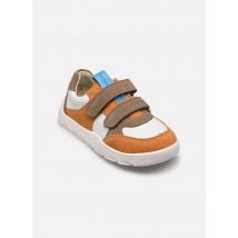 Froddo - ZERU SPRING BAREFOOT - Multicolor - Deportivas - Talla 34