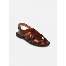 Billi Bi - Sandalen A8502 - braun - Größe 36