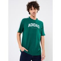 adidas sportswear - Bekleidung M C COLLEG TEE - grün - Größe XL