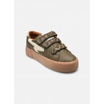 Kaporal CLOVIA Vert - Baskets - Disponible en 40