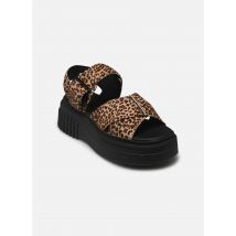Sandales et nu-pieds Evamar Wish Marron - Clarks - Disponible en 40