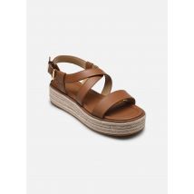 Michael Michael Kors - Sandalen LYNN ESPADRILLE SANDAL - Bruin - Maat 40 1/2