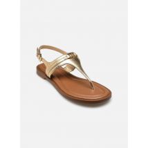 Michael Michael Kors - Sandalias MANDY THONG SANDAL - Oro y bronce - Talla 40 1/2