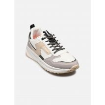 Schott - MAKIM - mehrfarbig - Sneaker - Größe 44