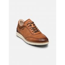 Pikolinos MANACOR M1A-4250C1 Marron - Baskets - Disponible en 42