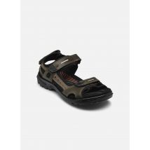 Ecco - Offroad Yucatan M Marrone - Sandali e scarpe aperte - Taglia 41