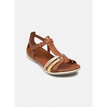 Sandales et nu-pieds Flash T-Bar Marron - Ecco - Disponible en 37
