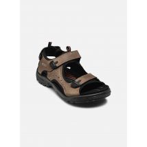 Ecco - Offroad Andes II M Marrone - Sandali e scarpe aperte - Taglia 46
