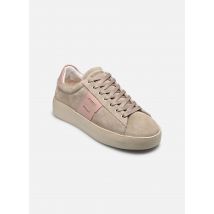 Blackstone - Raie skarn - beige - Sneaker - Größe 39