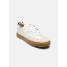 Blackstone Ardoise Harper Blanc - Baskets - Disponible en 44