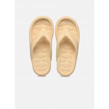 Zehensandalen Flip Flop Candy Pop Beige - Havaianas - Größe 37