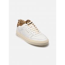 Belledonne Paris B0 M Multicolor - Sneakers - Beschikbaar in 39