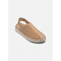 Comfeet - Sandalen PUELO - braun - Größe 41