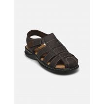 Comfeet - Sandalen NASSER - braun - Größe 41