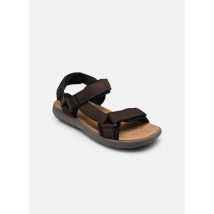 Comfeet NIMBOS M01734 - Sandales et nu-pieds - Disponible en 41