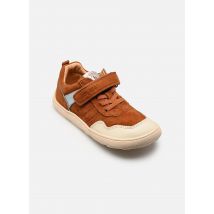 Bisgaard Baloo barefoot Bruin - Sneakers - Beschikbaar in 26
