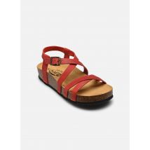 Plakton - CP NEMO Rosso - Sandali e scarpe aperte - Taglia 38
