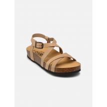Plakton - Sandalen CP NEMO - braun - Größe 35