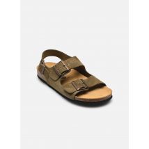 Plakton - Sandalen BAKU - grün - Größe 38