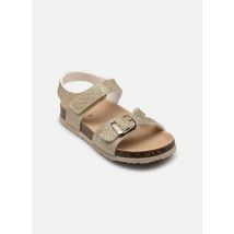 Scholl - Sandalias CORAL COLLECTION - Oro y bronce