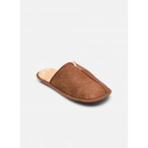 Sarenza Wear chausson homme ADAM - Chaussons - Disponible en 44